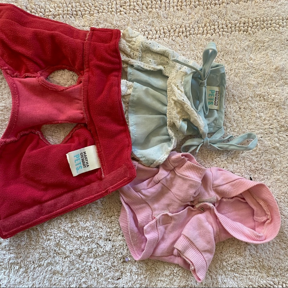 XS doggie girl bundle - Picture 4 of 5